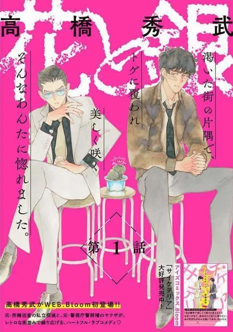 Hana X Gin