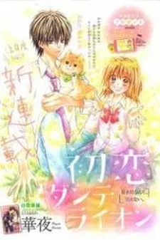 Hatsukoi Dandelion